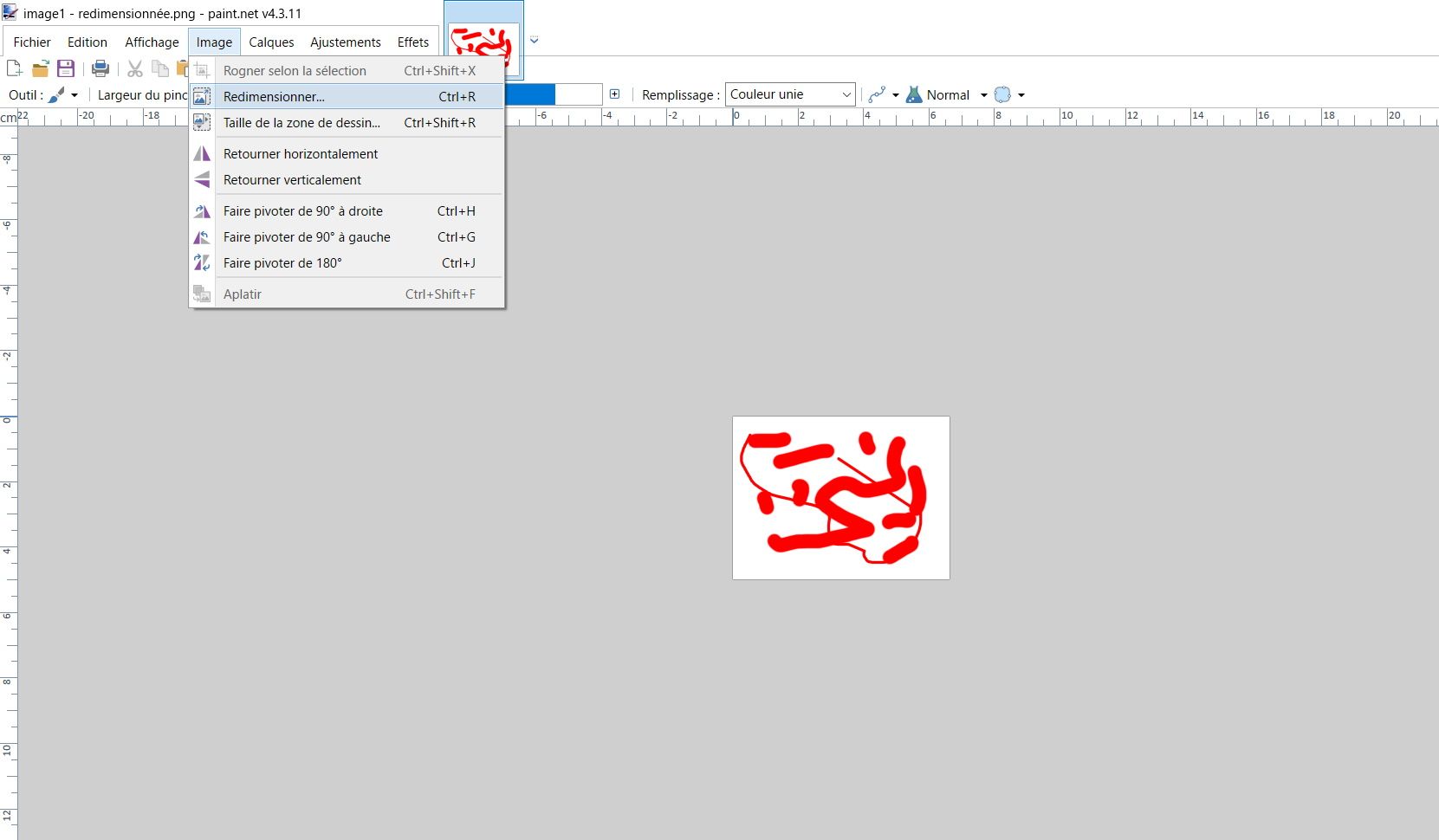 paintnet image